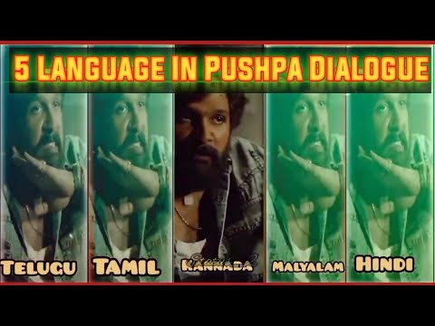 Pushpa Jukega Nahi || Pushpa Jukega Nahi Dialogue In 5 Language || # ...