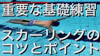 #596  重要な基礎練習 スカーリングのコツとポイント【水泳】