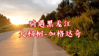 骑遇黑龙江,大杨树-加格达奇,冒雨翻山越岭邂逅大兴安岭的夕阳