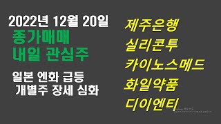 12.20(화) 내일 관심주(제주은행 / 실리콘투 / 카이노스메드 / 화일약품 / 디이엔티)