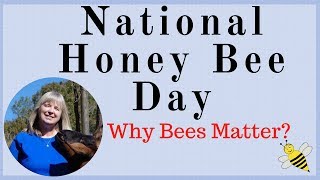 Views from a  Beekeeper on National Honey Bee Day