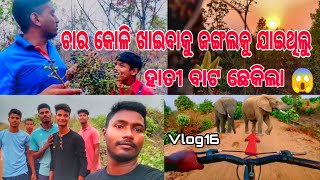 ଚାର କୋଳି 🍇 ଖାଇବାକୁ ଜଙ୍ଗଲ କୁ ଯାଇଥିଲୁ ହାତୀ 🐘 ବାଟ ଛେକିଲା 😱| OMG | Wild Elephant Crossing In My Village