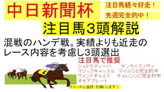 中日新聞杯2020　注目馬