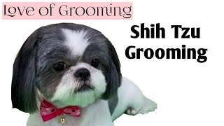 Grooming a Shih Tzu - Basic Clip