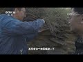 《地理·中国》 20191222 古村谜寨·姜氏庄园 下 cctv科教