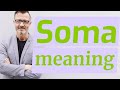 Soma | Meaning of soma 📖 📖 📖 📖 📖