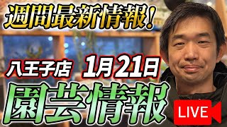 【最新情報】1月21日 グリーンギャラリーガーデンズ入荷情報を一挙公開！