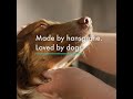 Hansgrohe DogShower