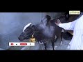 গরু কৃমিমুক্ত করনের উপায় এবং ভ্যাক্সিনেশন cow deworming and vaccination krishi kotha কৃষিকথা