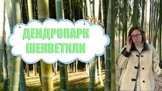 Дендропарк Шекветили | Shekvetili Dendrological Park