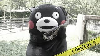 Kumamon Happy Surprise #3 \