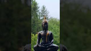 बुद्ध को पत्थर मारे 😱😱🔥 Buddha status#shorts #buddha #viral #shortvideo #trending #youtubeshorts
