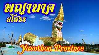 ยโสธร พญานาค พญาคันคาก แลนด์มาร์ค จังหวัดยโสธร