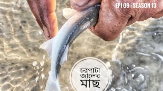 চরপাটা জালের মাছ | পর্ব ০৯ | সিজন ১৩ | ঘুরবো এবার পূর্ব সুন্দরবন | Mohsin ul Hakim