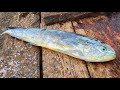 Mahi Mahi Fish Cutting in Sri Lanka | Fresh Dolphin Fish Cutting into Pieces | වන්නා