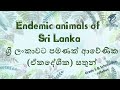 Endemic animals of Sri Lanka. ශ්‍රී ලංකාවට පමණක් ආවේණික (ඒකදේශීක) සතුන්.
