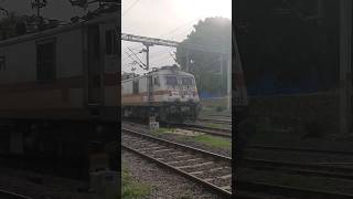 Honking RPM Wap7 Mainline King Cholan SF Express