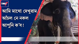 দক্ষিণ ভাৰতৰ এটি মন্দিৰত এটা ব্যতিক্ৰমী হাতী।কি কি কৰিব নোৱাৰে এই হাতীটোৱে! এইটো আচলতে  হাতীয়েই নে ?