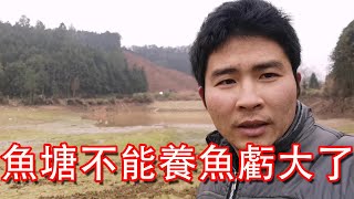 【石頭記事】20畝的魚塘租了4年，第2年卻不能再養魚了，虧大了