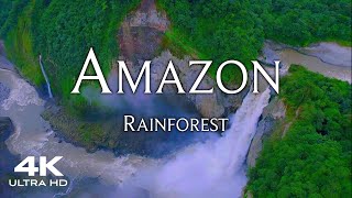 AMAZON Rainforest in 4K 🇧🇷 World's Largest Tropical Forest 🌴 Aerial Drone Amazonas