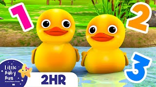 Counting Duck Song - Learning numbers + More | Babies Learn English - LBB Nursery Rhymes