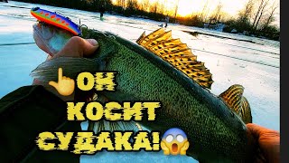 ОН КОСИТ СУДАКА!😱НАШЛИ КРУПНЯК НА МЕЛЯКЕ!🐟❤️