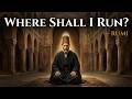 Rumi — Can You Hide From Divine Love? | Where Shall I Flee From You