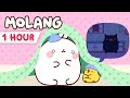 Molang - Its Halloween Night 👻  Kids Compilation