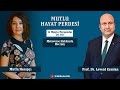 Mutlu Hayat Perdesi | Metaverse Hakkında Her şey