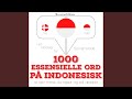 Chapter 1.28 - 1000 essentielle ord på indonesisk