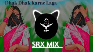 Dhak Dhak Karne Laga | New Song (Remix) Hip Hop Style | High Bass Boosted | Insta Trap | SRX MIX
