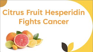 Citrus Fruit Hesperidin Fights Cancer