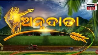 Annadata I ଅନ୍ନଦାତା କୃଷି ସମ୍ବନ୍ଧୀୟ କାର୍ଯ୍ୟକ୍ରମ I 6th April 2022