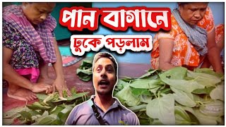 পানের রাজ্যে আছি || অনন্য ভ্রমণের অভিজ্ঞতা 🇧🇩😱