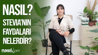 TÜM YÖNLERİYLE STEVIA / STEVIA (ŞEKER OTU) BİTKİSİNİN FAYDALARI NELERDİR? #stevia #fayda #sağlık