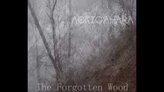 Aokigahara - White Star (2013 Demo)