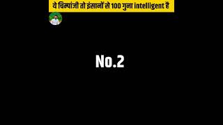 ये चिम्पांजी तो इंसानों से 100 गुना बुद्धिमान है 😱😱 जानकर चौंक जाओगे chimpanzee facts hindi #shorts