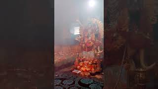 Havan,Navmi Tithi Navratri #vaishalikvlog #shorts #2022