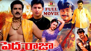 Peda Raja Telugu Full Movie  | Shakshi Shivanand, Abbas, Sujatha | Watch Full Length Movies For Free