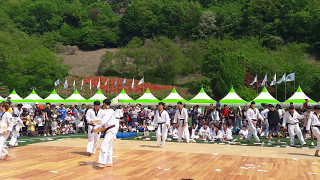 [화제의영상] 2층 높이로 뛰어올라 ,이것이 태권도다