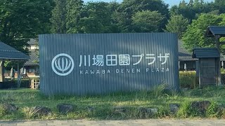 【道の駅　川場田園プラザ】田園ベーカリー　ファーマーズマーケット　プレミアム食パン　ブルーベリー　飲むヨーグルト