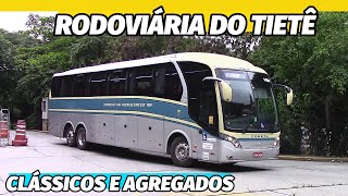 CLÁSSICOS E AGREGADOS na RODOVIÁRIA DO TIETÊ - MOVIMENTAÇÃO ANTIGAMENTE