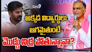 అక్కడ విద్యార్థులు ఆగమైతుంటే..మొద్దు నిద్ర పోతున్నావా? | Harish Rao About Students | Prime9 News