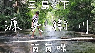 箱根伊豆｜EP18-源兵衛川-三島‧下篇★茵茵咪★東海漫行Day6★20230712(#mishima#shizuoka#genbegawa#靜岡)