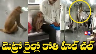 Viral Video : ఢిల్లీ మెట్రో రైల్ లో కోతి ప్రయాణం...కోతి చేసిన వింత వేషాలు చూస్తే పొట్ట చెక్కలే...