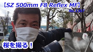 【トキナーSZ 500mm F8 Reflex MFで】さくらを撮る！（動画No.1307）