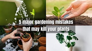 5 major gardening mistakes that may kill your plants | common gardening mistakes