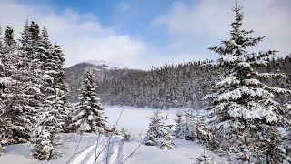 Newfoundland Ice Fishing Season Opening Day 2023