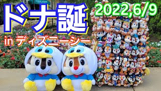 【ドナルド】ディズニーシーで盛大にお祝いして来た！