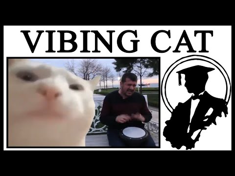 How Did We Get To Cat Vibing To Ievan Polkka Cat Vibing To Street How Did We Get To Cat Vibing To Ievan Polkka Cat Vibing To Street